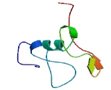 Membrane Associated Ring Finger Protein 5 (MARCH5)