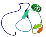 Membrane Associated Ring Finger Protein 9 (MARCH9)