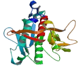 Membrane Bound Transcription Factor Peptidase Site 1 (MBTPS1)