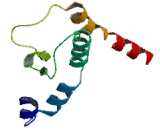 Membrane Bound Transcription Factor Peptidase Site 2 (MBTPS2)