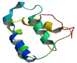 Membrane Magnesium Transporter 1 (MMGT1)