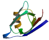 Membrane Protein, Palmitoylated 1 (MPP1)