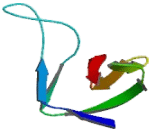 Membrane Protein, Palmitoylated 3 (MPP3)