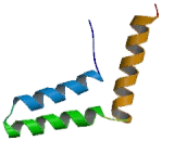 Membrane Protein, Palmitoylated 5 (MPP5)