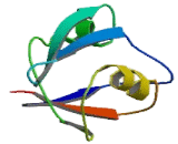 Membrane Protein, Palmitoylated 6 (MPP6)