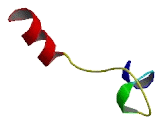 Membrane Spanning 4 Domains Subfamily A, Member 10 (MS4A10)