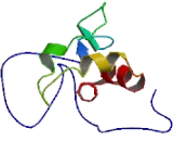 Membrane Spanning 4 Domains Subfamily A, Member 12 (MS4A12)