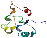 Membrane Spanning 4 Domains Subfamily A, Member 13 (MS4A13)