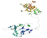 Membrane Spanning 4 Domains Subfamily A, Member 14 (MS4A14)