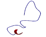 Membrane Spanning 4 Domains Subfamily A, Member 15 (MS4A15)