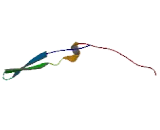 Membrane Spanning 4 Domains Subfamily A, Member 3 (MS4A3)