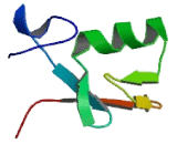 Menage A Trois Homolog 1 (MNAT1)