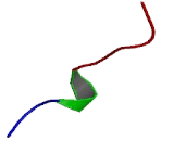 Mesenchyme Homeobox Protein 1 (MEOX1)