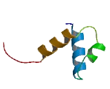 Mesoderm Induction Early Response Protein 1 (MIER1)