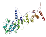 Mesoderm Induction Early Response Protein 3 (MIER3)