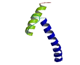 Mesoderm Posterior 1 Homolog (MESP1)