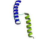 Mesogenin 1 (MSGN1)