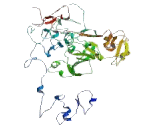 Mesothelin (MSLN)