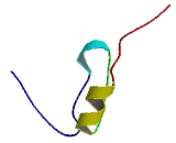 Mesothelin Like Protein (MSLNL)