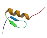 Metal Regulatory Transcription Factor 1 (MTF1)