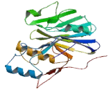 Metallo Beta Lactamase Domain Containing Protein 1 (MbLAC1)