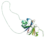 Metallophosphoesterase Domain Containing Protein 2 (MPPED2)