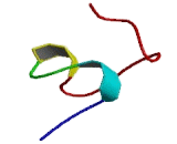 Metallothionein 1E (MT1E)