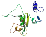 Metallothionein Like Protein 5, Testis Specific (MTL5)