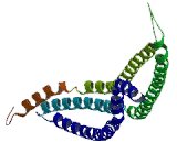 Metastasis Suppressor 1 (MTSS1)