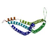 Metastasis Suppressor 1 Like Protein (MTSS1L)