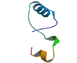 Metaxin 3 (MTX3)