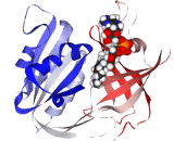 Methemoglobin (MetHb)