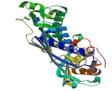 Methionine Adenosyltransferase II Alpha (MAT2a)