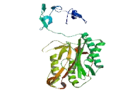 Methionyl Aminopeptidase 1D (METAP1D)