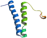 Methionyl tRNA Synthetase (MARS)