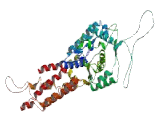 Methionyl tRNA Synthetase 2, Mitochondrial (MARS2)