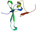 Methyl CpG Binding Domain Protein 1 (MBD1)