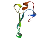 Methyl CpG Binding Domain Protein 3 (MBD3)