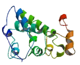 Methyl CpG Binding Domain Protein 3 Like Protein 1 (MBD3L1)