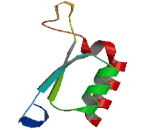 Methyl CpG Binding Domain Protein 3 Like Protein 2 (MBD3L2)