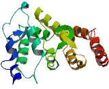 Methyl CpG Binding Domain Protein 3 Like Protein 3 (MBD3L3)