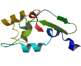 Methyl CpG Binding Domain Protein 3 Like Protein 5 (MBD3L5)