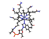 Methylcobalamin (MeCbl)