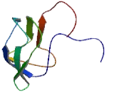 Methylcrotonoyl Coenzyme A Carboxylase 1 (MCCC1)