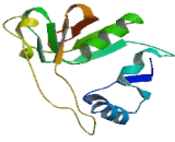 Methylthioribose-1-Phosphate Isomerase (MRI1)