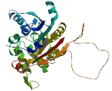 Methyltransferase 5 Domain Containing Protein 1 (METT5D1)