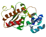 Methyltransferase 5 Domain Containing Protein 2 (METT5D2)