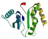 Methyltransferase Like Protein 1 (METTL1)