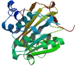 Methyltransferase Like Protein 12 (METTL12)