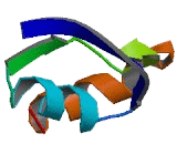 Methyltransferase Like Protein 18 (METTL18)